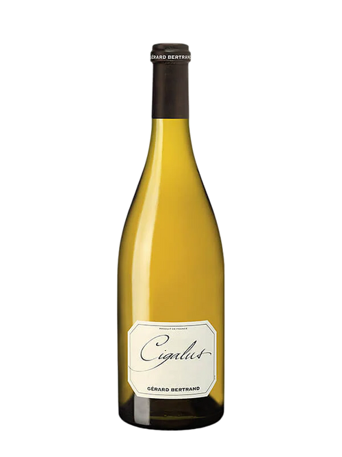 Cigalus Blanc 2023 75cl