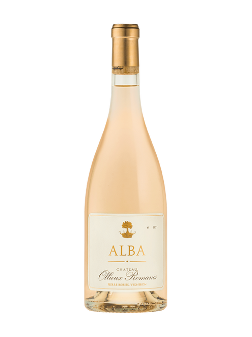 Ollieux Romanis Alba rose